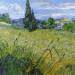 Green Wheat Field with Cypress